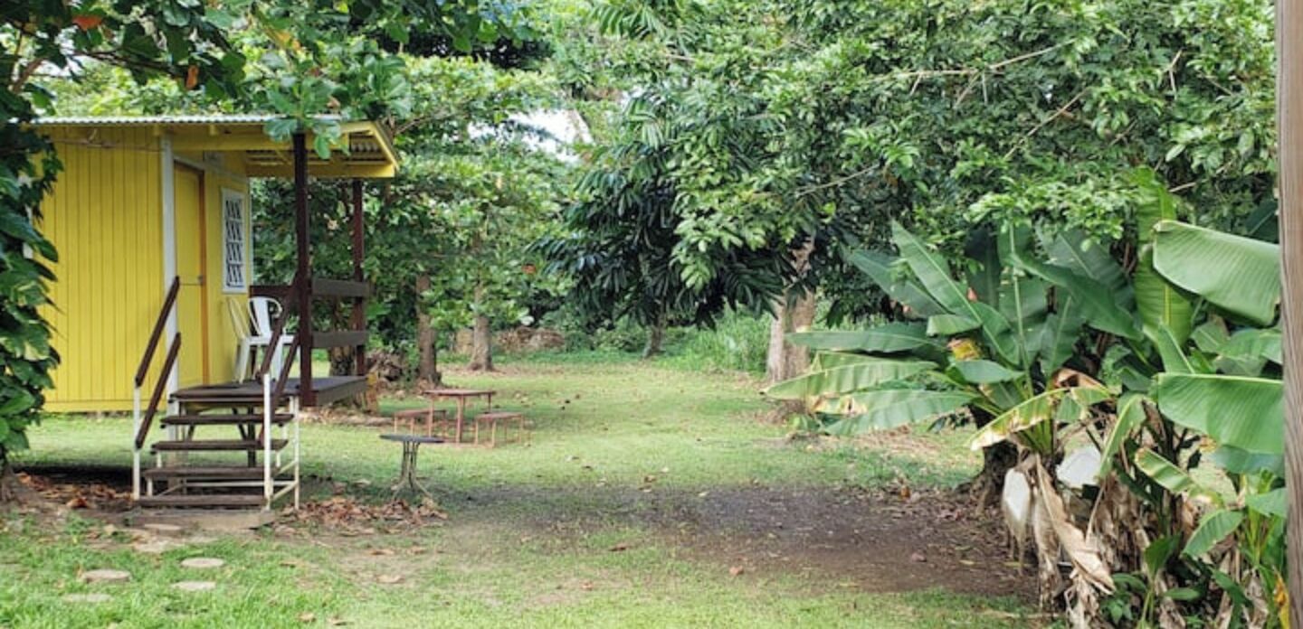 The Casita Amarilla del Yunque photo 4