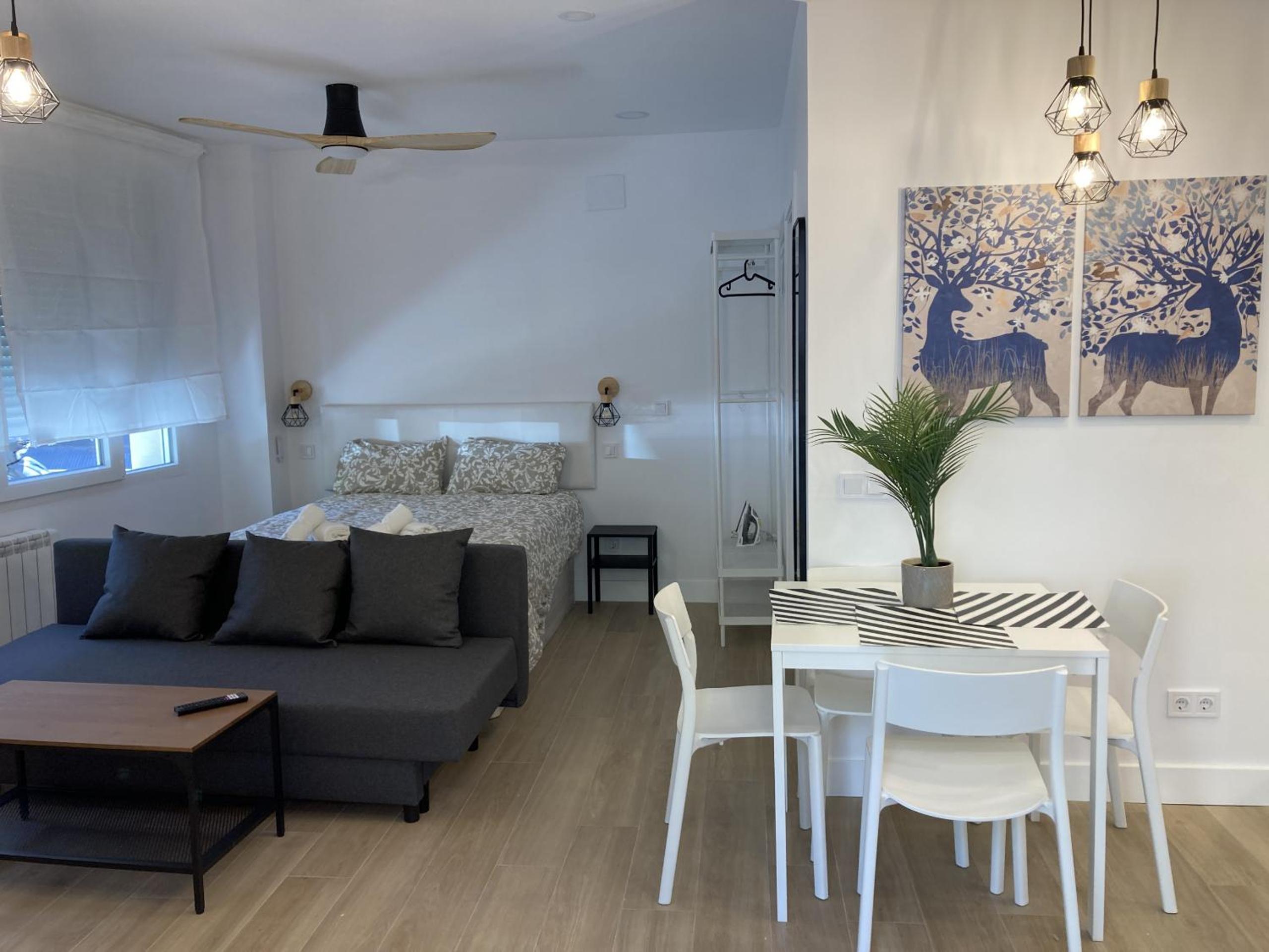 Bravo Murillo Apartments – One-Bedroom Apartment photo 6